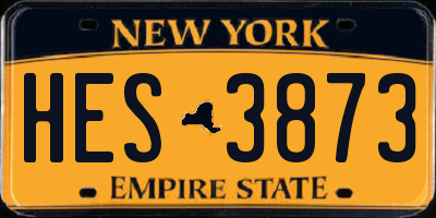 NY license plate HES3873