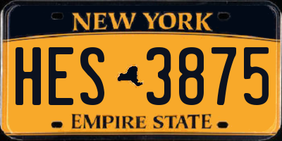 NY license plate HES3875