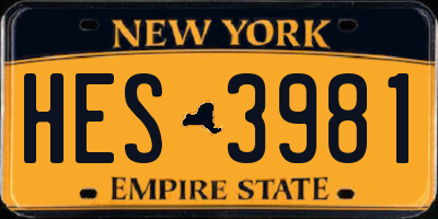 NY license plate HES3981