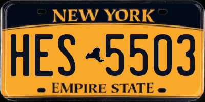 NY license plate HES5503