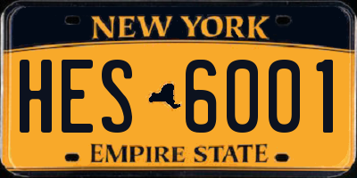 NY license plate HES6001