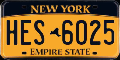 NY license plate HES6025