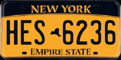 NY license plate HES6236