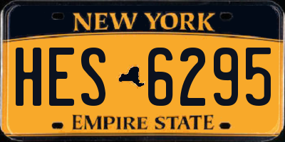 NY license plate HES6295