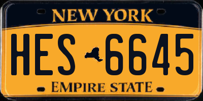 NY license plate HES6645