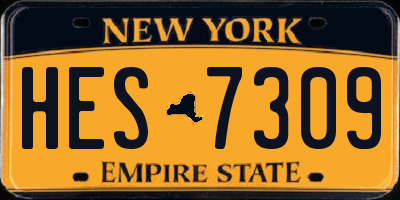NY license plate HES7309