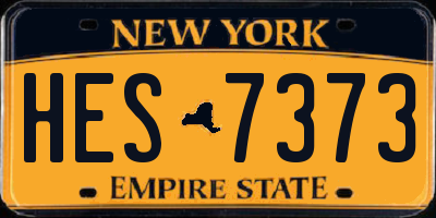 NY license plate HES7373