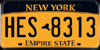 NY license plate HES8313
