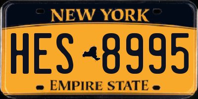 NY license plate HES8995
