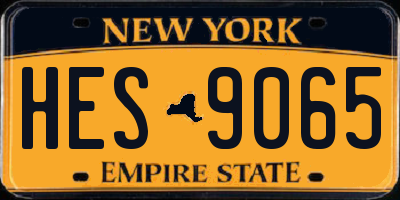 NY license plate HES9065