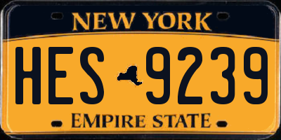 NY license plate HES9239