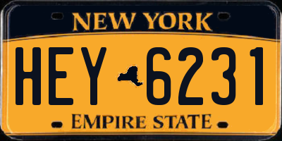 NY license plate HEY6231