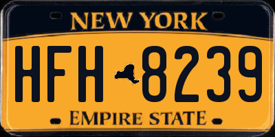 NY license plate HFH8239