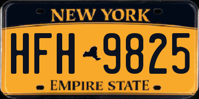 NY license plate HFH9825