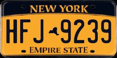 NY license plate HFJ9239