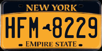 NY license plate HFM8229