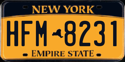 NY license plate HFM8231