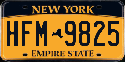 NY license plate HFM9825