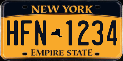 NY license plate HFN1234