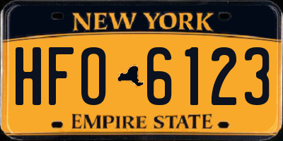 NY license plate HFO6123