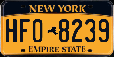 NY license plate HFO8239