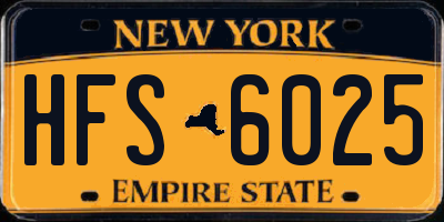 NY license plate HFS6025