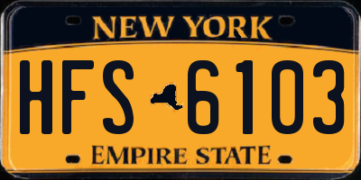 NY license plate HFS6103