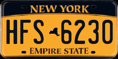 NY license plate HFS6230