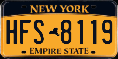 NY license plate HFS8119