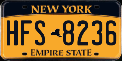 NY license plate HFS8236