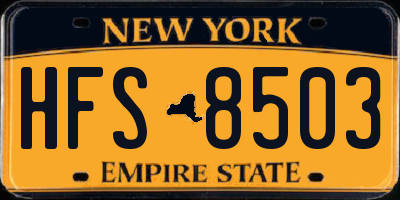 NY license plate HFS8503