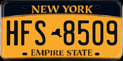NY license plate HFS8509