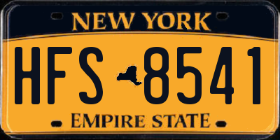NY license plate HFS8541