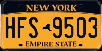 NY license plate HFS9503