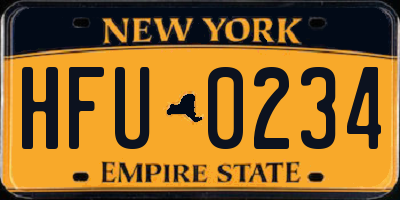NY license plate HFU0234
