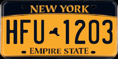 NY license plate HFU1203