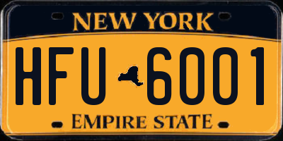 NY license plate HFU6001