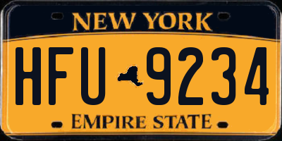 NY license plate HFU9234