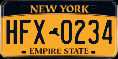 NY license plate HFX0234
