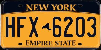 NY license plate HFX6203