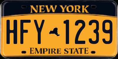 NY license plate HFY1239
