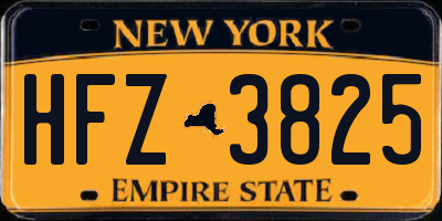 NY license plate HFZ3825