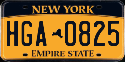 NY license plate HGA0825