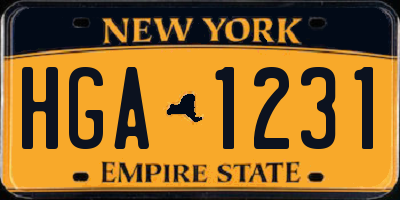 NY license plate HGA1231