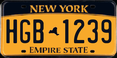NY license plate HGB1239