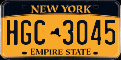 NY license plate HGC3045