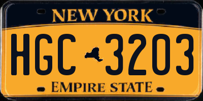 NY license plate HGC3203