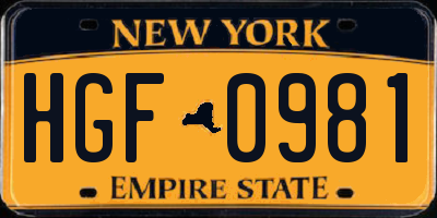 NY license plate HGF0981