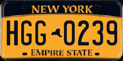NY license plate HGG0239