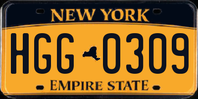 NY license plate HGG0309